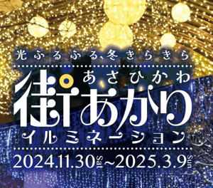 スクリーンショット 2024-11-27 103631